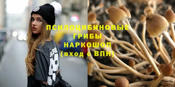 спиды Белоозёрский