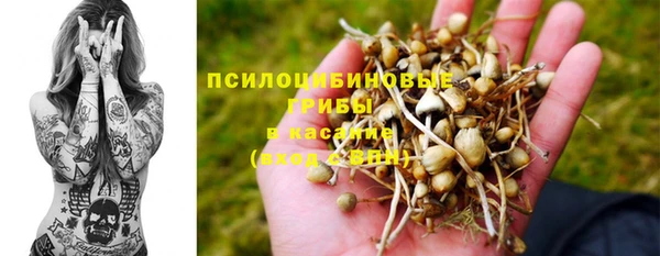 спиды Белоозёрский